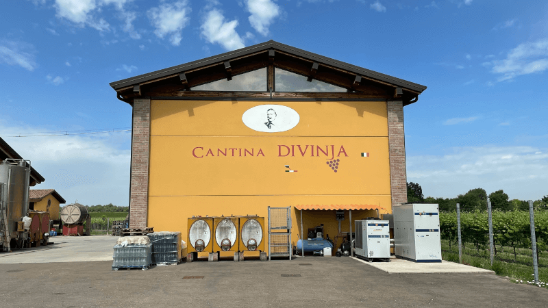 Cantina Divinja